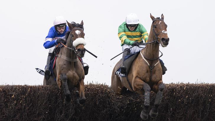 Jumps horses in action